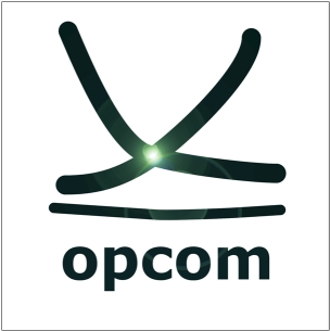 OPCOM: Compania